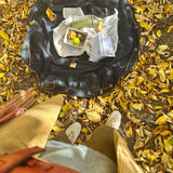 Picnic Sac